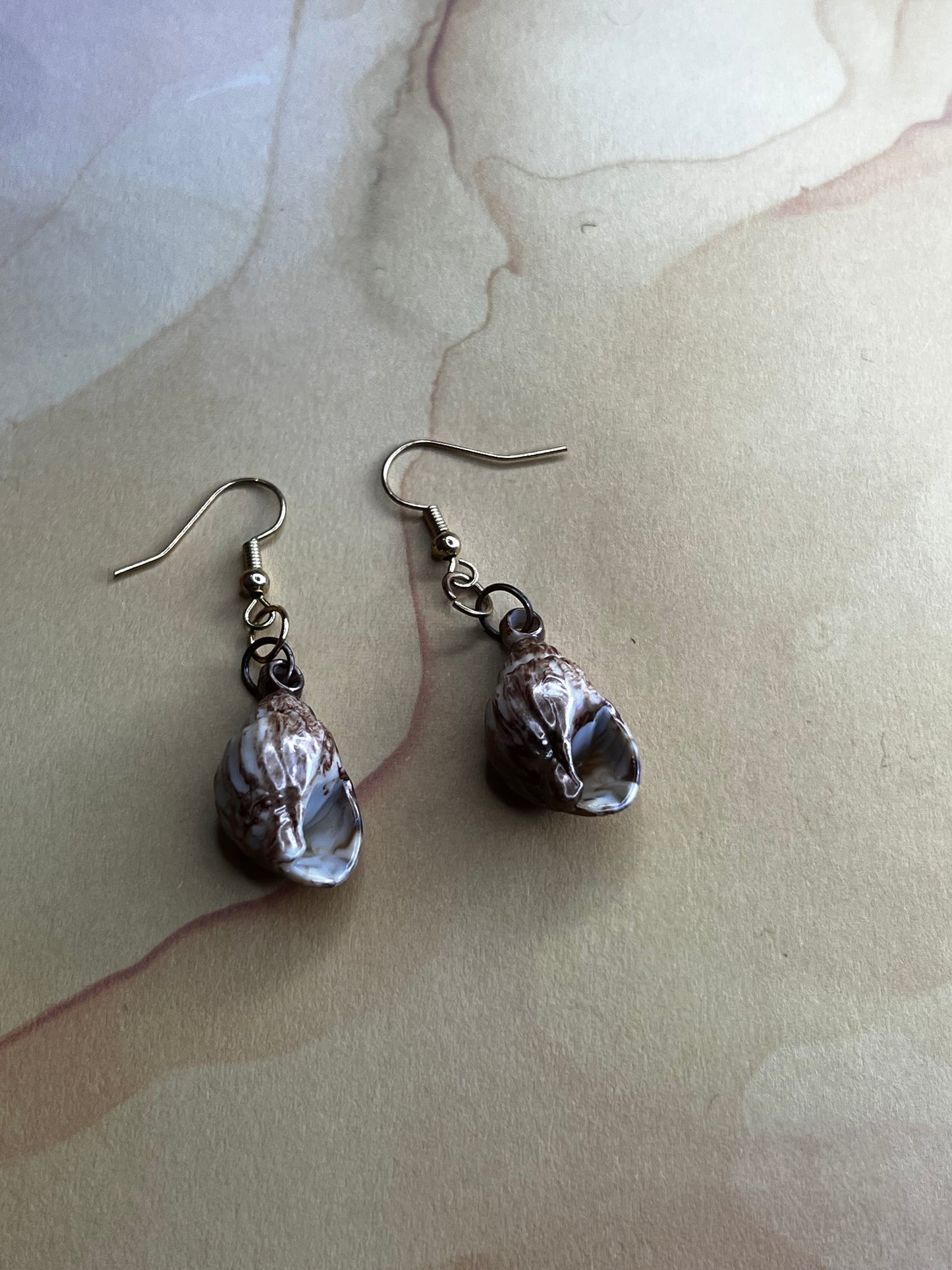 Shell Earrings