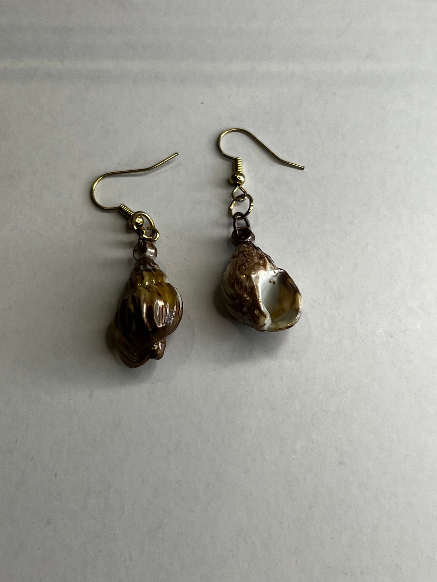 Shell Earrings