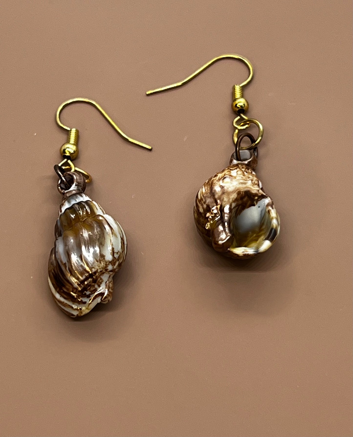 Shell Earrings